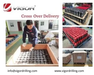 crossover china vigor