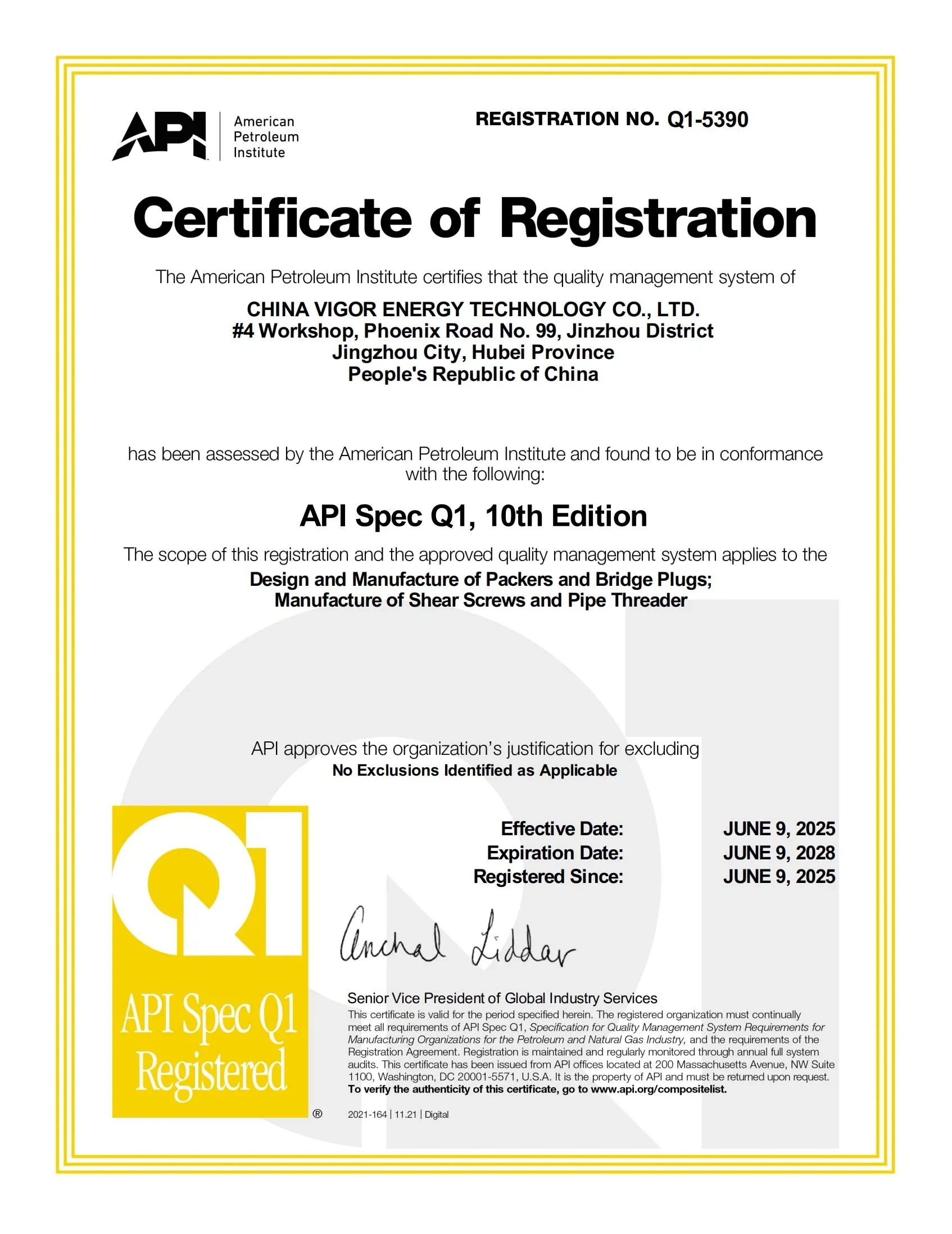 Vigor API Certificate Q1